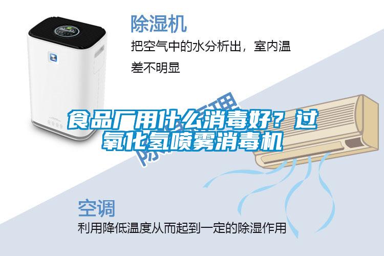 食品廠用什么消毒好？過氧化氫噴霧消毒機(jī)