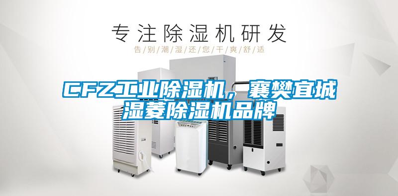 CFZ工業(yè)除濕機，襄樊宜城濕菱除濕機品牌