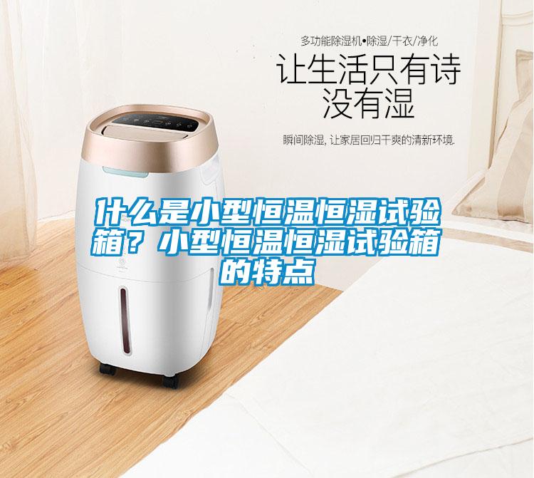 什么是小型恒溫恒濕試驗(yàn)箱？小型恒溫恒濕試驗(yàn)箱的特點(diǎn)