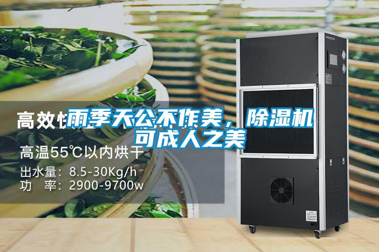 雨季天公不作美，除濕機可成人之美