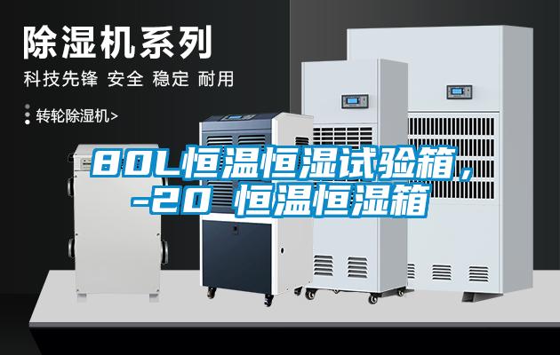 80L恒溫恒濕試驗箱，-20℃恒溫恒濕箱