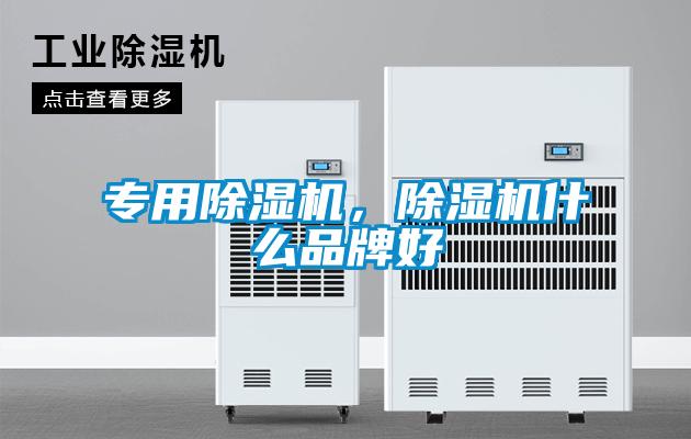 專用除濕機(jī)，除濕機(jī)什么品牌好