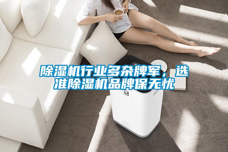除濕機(jī)行業(yè)多雜牌軍，選準(zhǔn)除濕機(jī)品牌保無(wú)憂