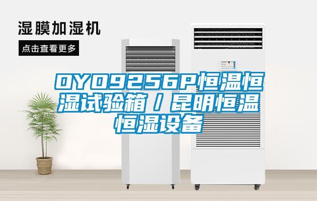 OYO9256P恒溫恒濕試驗箱／昆明恒溫恒濕設備