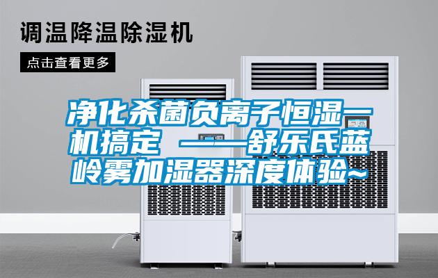 凈化殺菌負(fù)離子恒濕一機(jī)搞定 ——舒樂氏藍(lán)嶺霧加濕器深度體驗(yàn)~