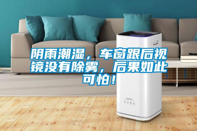 陰雨潮濕，車窗跟后視鏡沒有除霧，后果如此可怕！