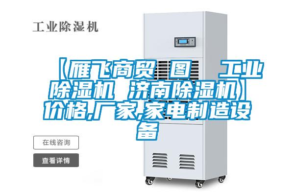 【雁飛商貿(mào) 圖  工業(yè)除濕機(jī) 濟(jì)南除濕機(jī)】?jī)r(jià)格,廠家,家電制造設(shè)備