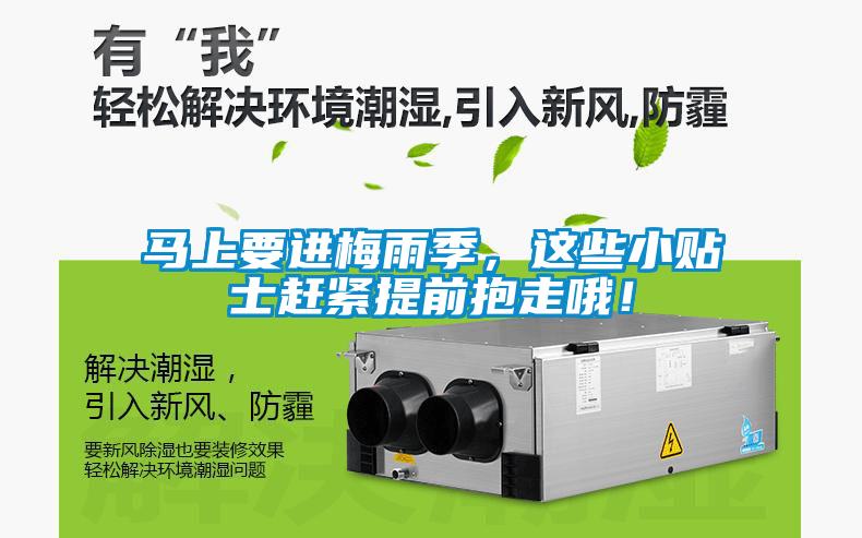 馬上要進梅雨季，這些小貼士趕緊提前抱走哦！