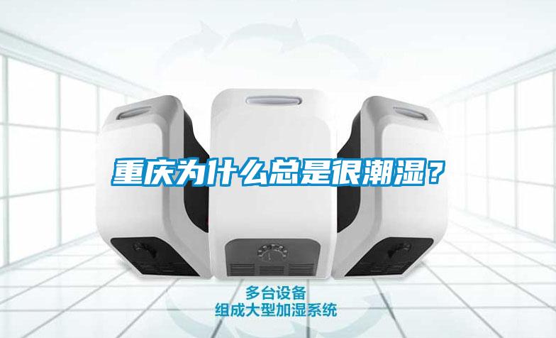 重慶為什么總是很潮濕？