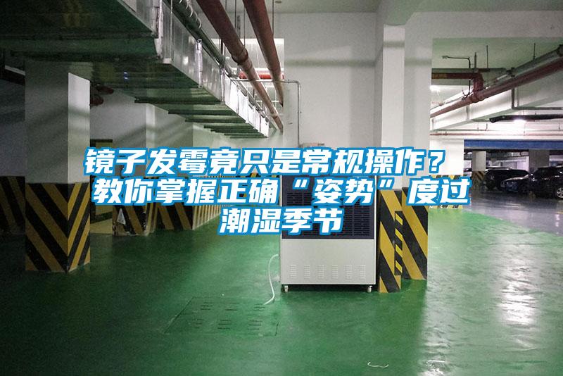 鏡子發(fā)霉竟只是常規(guī)操作？ 教你掌握正確“姿勢”度過潮濕季節(jié)