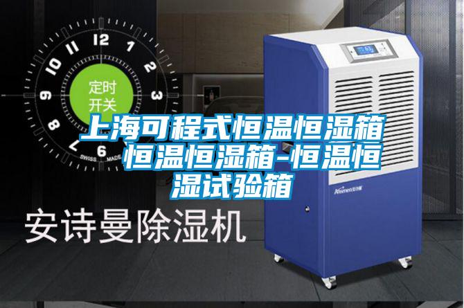 上海可程式恒溫恒濕箱  恒溫恒濕箱-恒溫恒濕試驗(yàn)箱