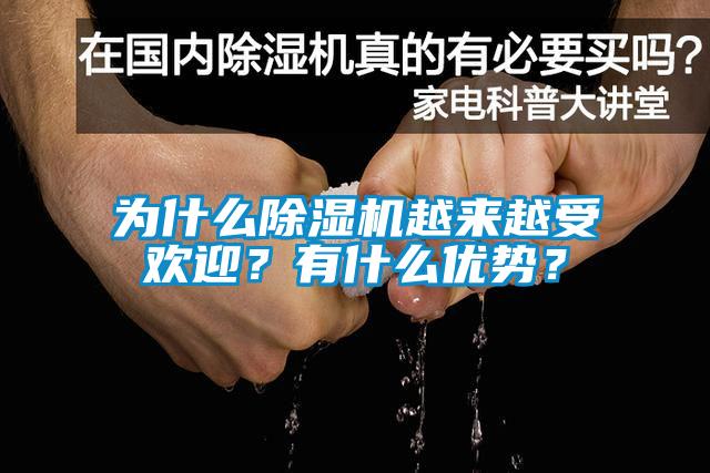 為什么除濕機(jī)越來越受歡迎？有什么優(yōu)勢？