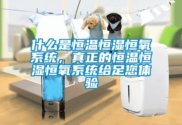 什么是恒溫恒濕恒氧系統(tǒng)，真正的恒溫恒濕恒氧系統(tǒng)給足您體驗(yàn)