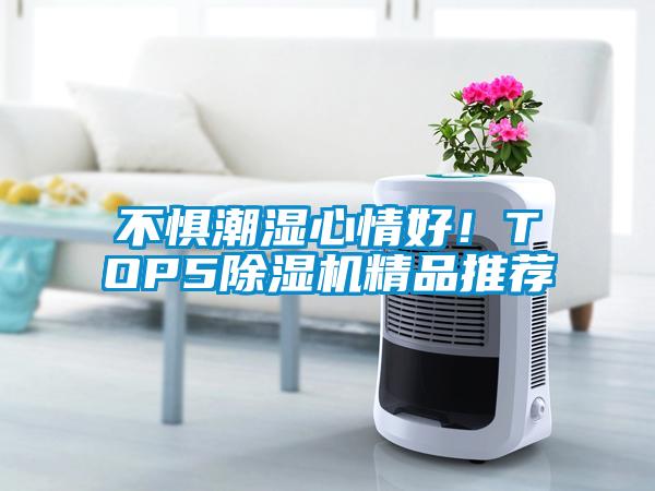 不懼潮濕心情好！TOP5除濕機(jī)精品推薦