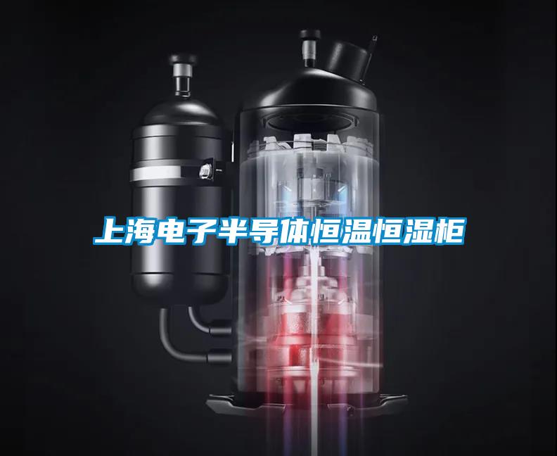 上海電子半導體恒溫恒濕柜
