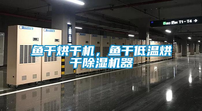 魚干烘干機(jī)，魚干低溫烘干除濕機(jī)器