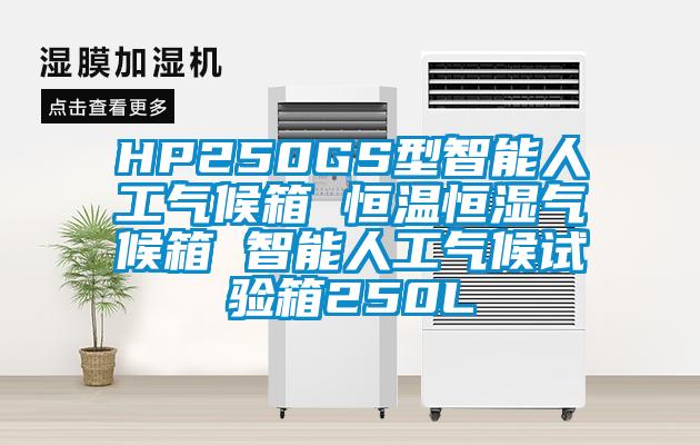 HP250GS型智能人工氣候箱 恒溫恒濕氣候箱 智能人工氣候試驗(yàn)箱250L