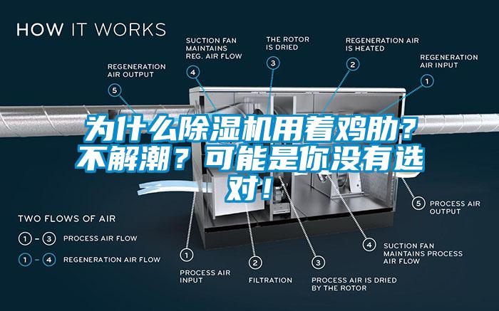 為什么除濕機(jī)用著雞肋？不解潮？可能是你沒有選對！