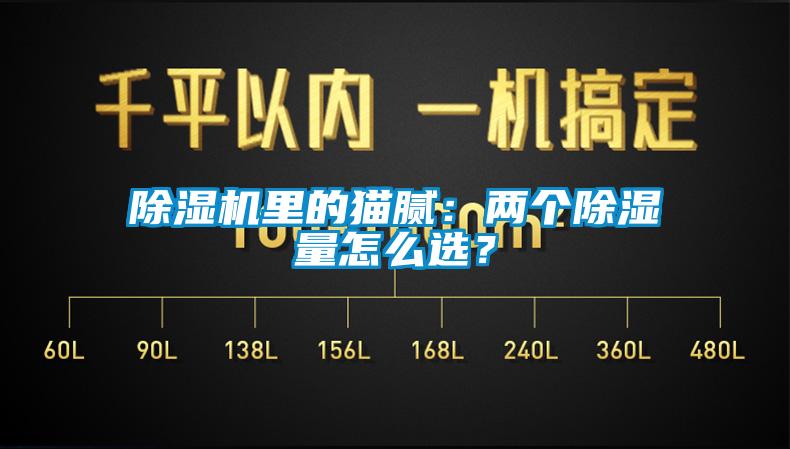 除濕機(jī)里的貓膩：兩個(gè)除濕量怎么選？