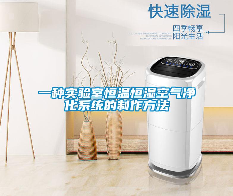 一種實驗室恒溫恒濕空氣凈化系統(tǒng)的制作方法