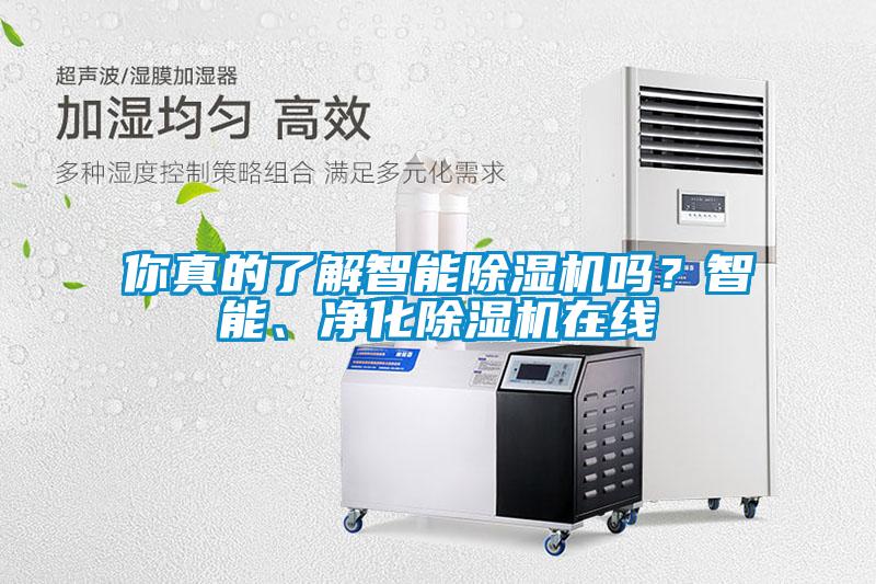 你真的了解智能除濕機(jī)嗎？智能、凈化除濕機(jī)在線
