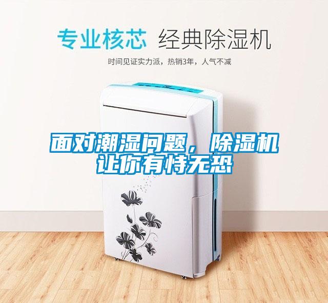 面對(duì)潮濕問(wèn)題，除濕機(jī)讓你有恃無(wú)恐