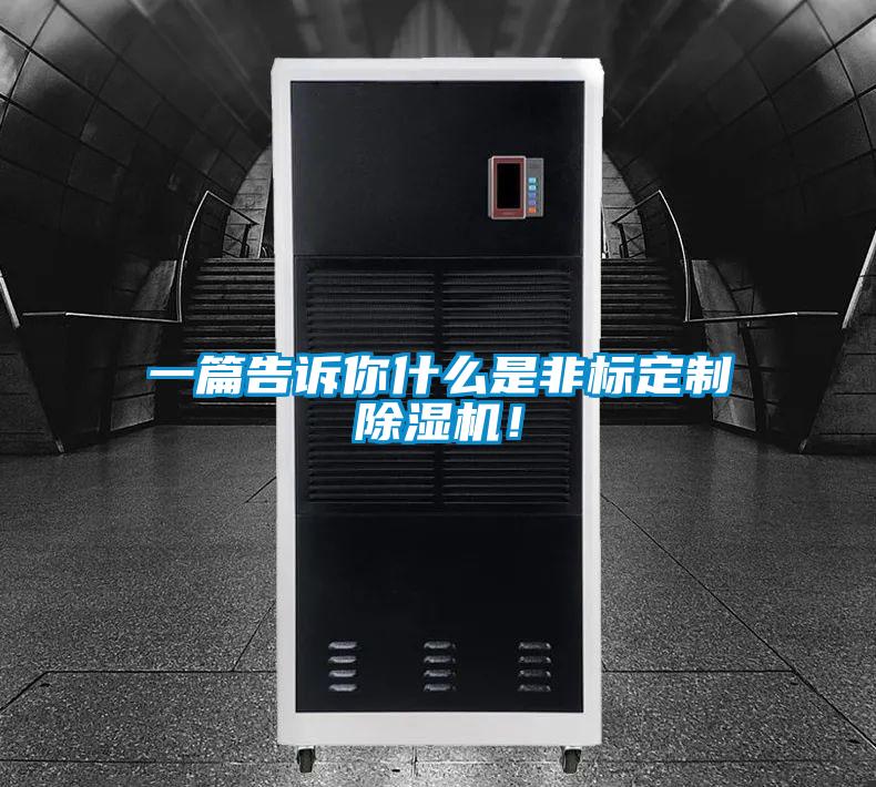 一篇告訴你什么是非標定制除濕機！