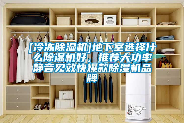 [冷凍除濕機(jī)]地下室選擇什么除濕機(jī)好，推薦大功率靜音見效快爆款除濕機(jī)品牌
