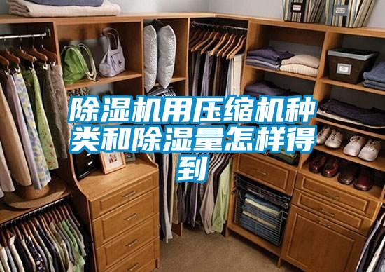 除濕機(jī)用壓縮機(jī)種類(lèi)和除濕量怎樣得到