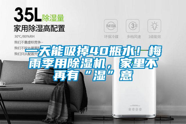 一天能吸掉40瓶水！梅雨季用除濕機，家里不再有“濕”意