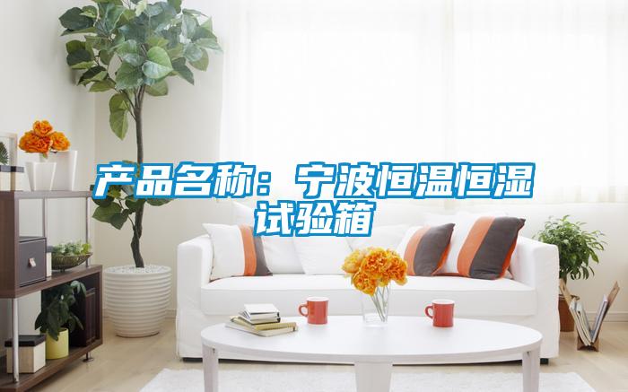 產(chǎn)品名稱：寧波恒溫恒濕試驗箱