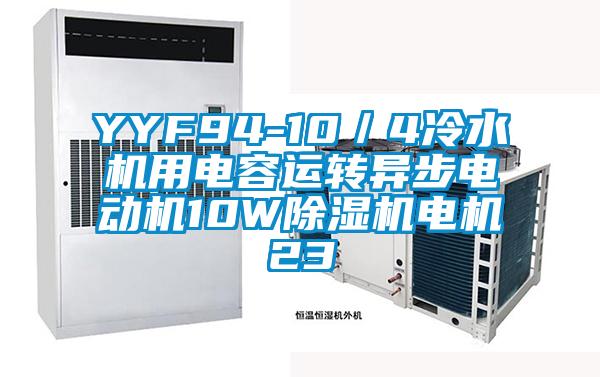 YYF94-10／4冷水機(jī)用電容運(yùn)轉(zhuǎn)異步電動機(jī)10W除濕機(jī)電機(jī)23