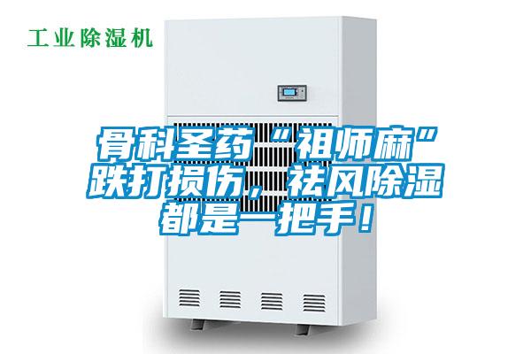 骨科圣藥“祖師麻”跌打損傷，祛風除濕都是一把手！