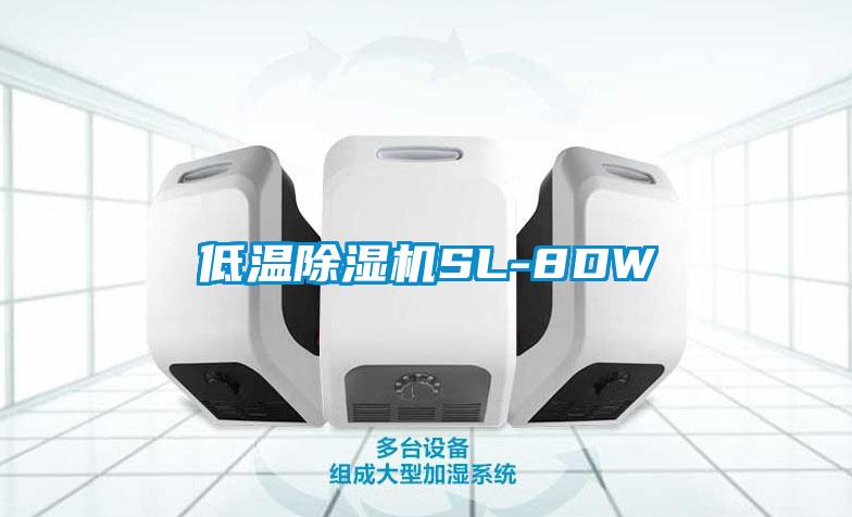 低溫除濕機(jī)SL-8DW