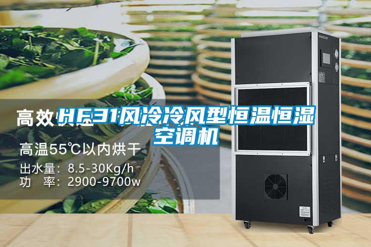 HF31風(fēng)冷冷風(fēng)型恒溫恒濕空調(diào)機(jī)
