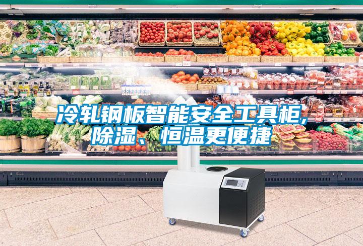 冷軋鋼板智能安全工具柜,除濕、恒溫更便捷