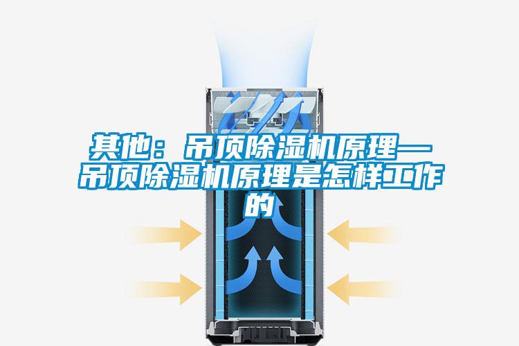 其他：吊頂除濕機(jī)原理—吊頂除濕機(jī)原理是怎樣工作的