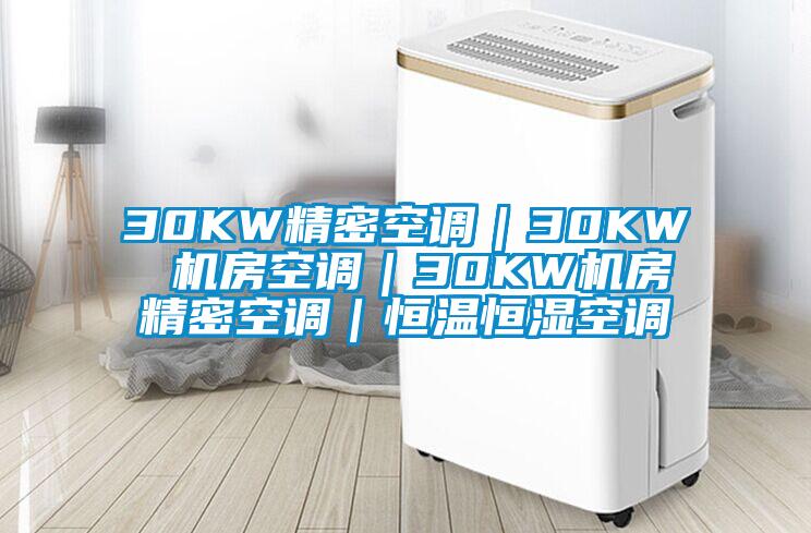 30KW精密空調(diào)｜30KW 機房空調(diào)｜30KW機房精密空調(diào)｜恒溫恒濕空調(diào)