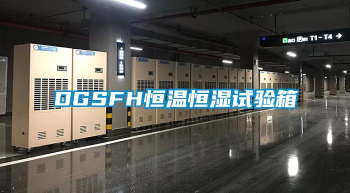 DGSFH恒溫恒濕試驗(yàn)箱