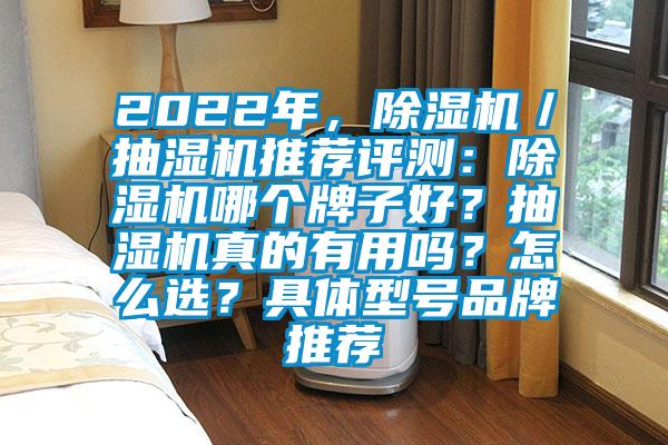 2022年，除濕機(jī)／抽濕機(jī)推薦評測：除濕機(jī)哪個牌子好？抽濕機(jī)真的有用嗎？怎么選？具體型號品牌推薦