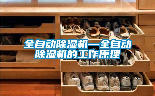 全自動(dòng)除濕機(jī)—全自動(dòng)除濕機(jī)的工作原理