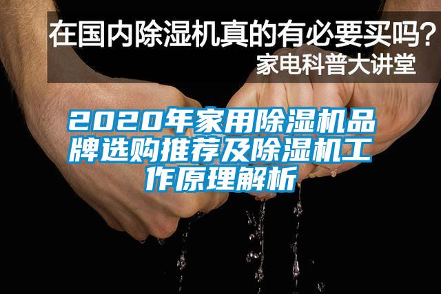2020年家用除濕機品牌選購?fù)扑]及除濕機工作原理解析