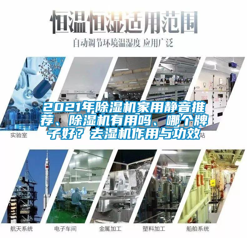 2021年除濕機家用靜音推薦、除濕機有用嗎、哪個牌子好？去濕機作用與功效