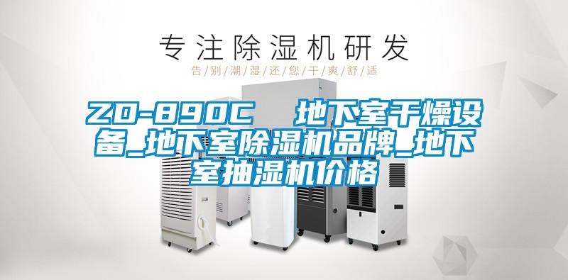 ZD-890C  地下室干燥設(shè)備_地下室除濕機(jī)品牌_地下室抽濕機(jī)價格