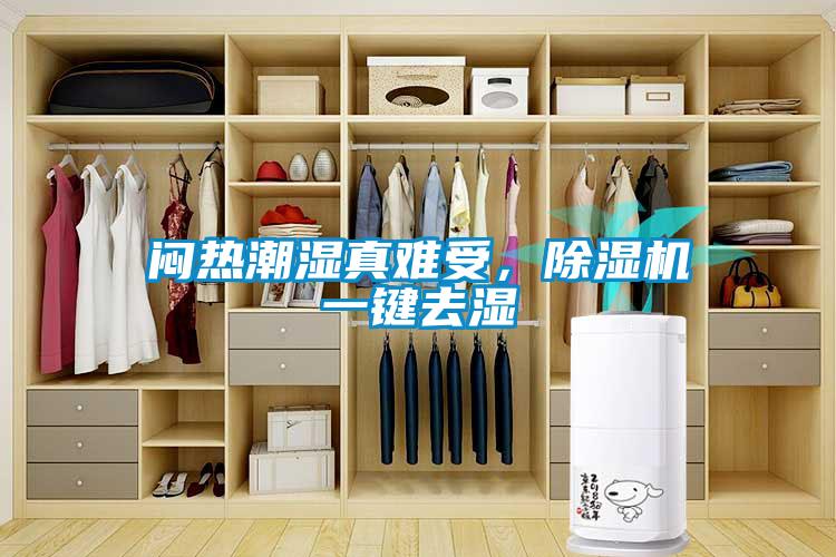 悶熱潮濕真難受，除濕機(jī)一鍵去濕