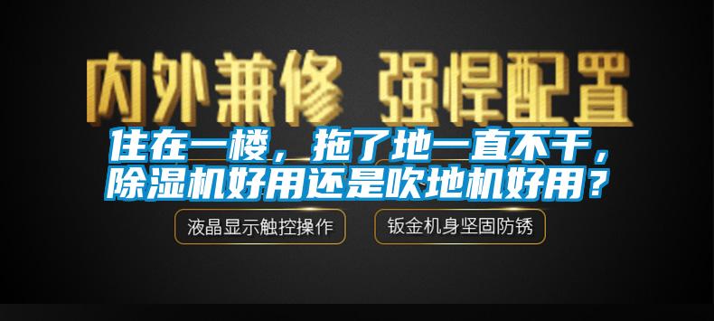 住在一樓，拖了地一直不干，除濕機好用還是吹地機好用？