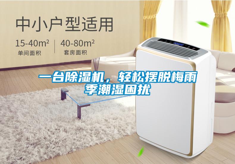 一臺除濕機，輕松擺脫梅雨季潮濕困擾