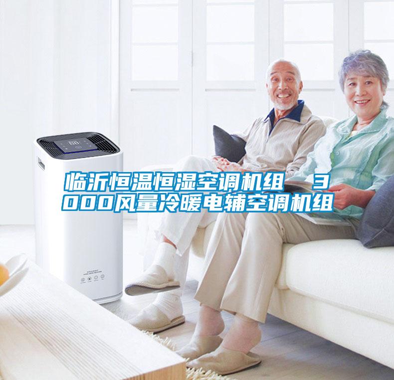 臨沂恒溫恒濕空調(diào)機組  3000風(fēng)量冷暖電輔空調(diào)機組