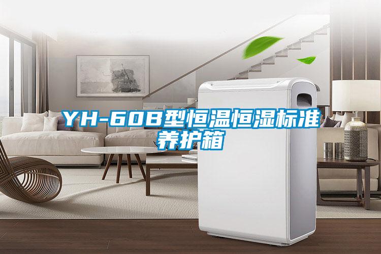 YH-60B型恒溫恒濕標(biāo)準(zhǔn)養(yǎng)護(hù)箱