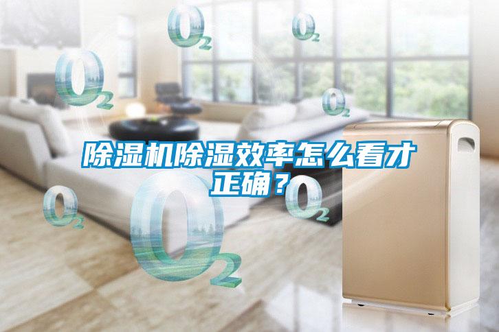 除濕機(jī)除濕效率怎么看才正確？